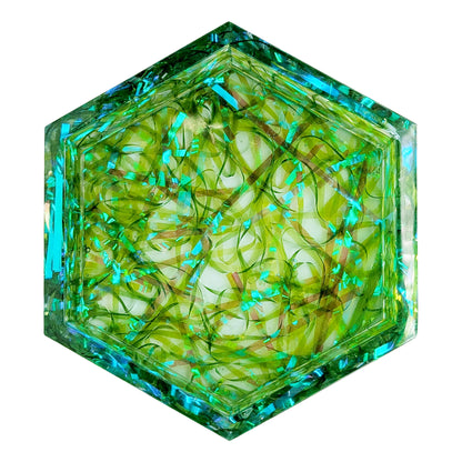 Forbidden Jelly Beans Dice Set